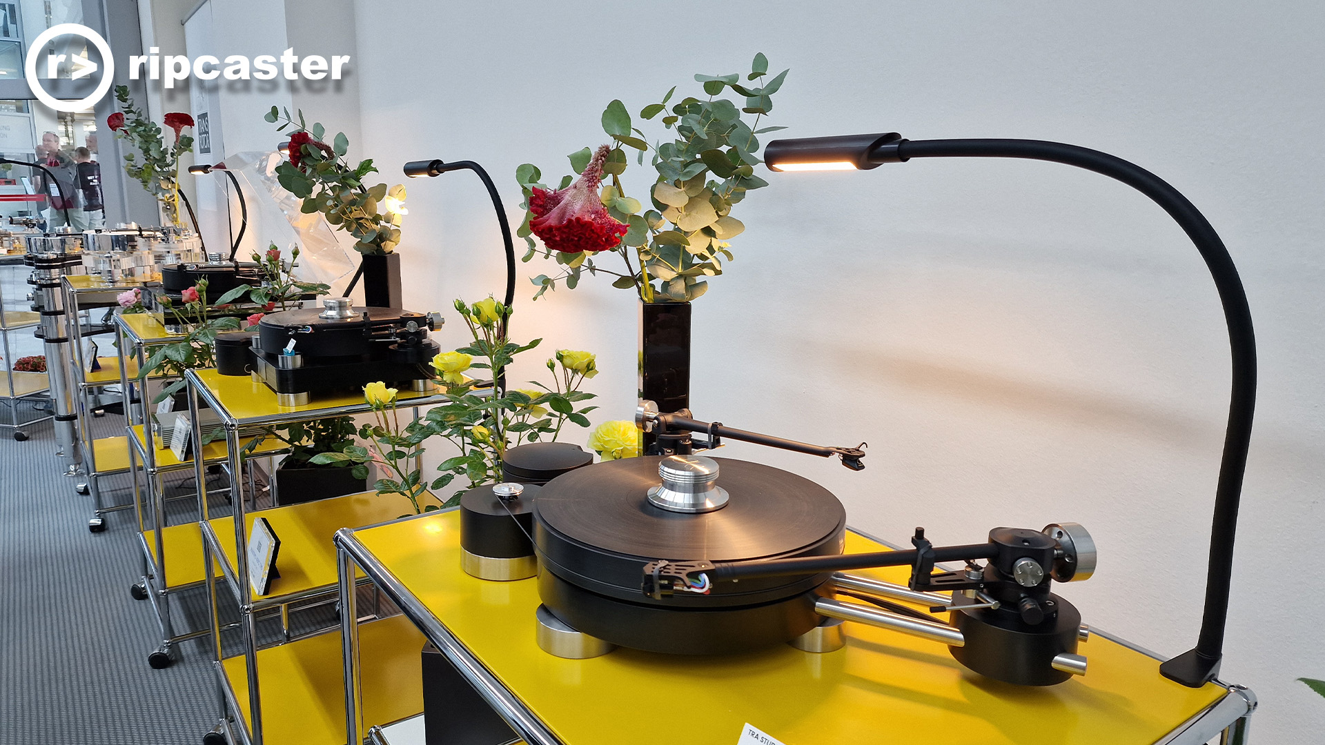 Turntables in a line on yellow stands with lighting and lots of flowers (roses, and eucalyptus)