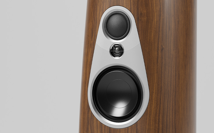 The top driver array on a walnut speaker