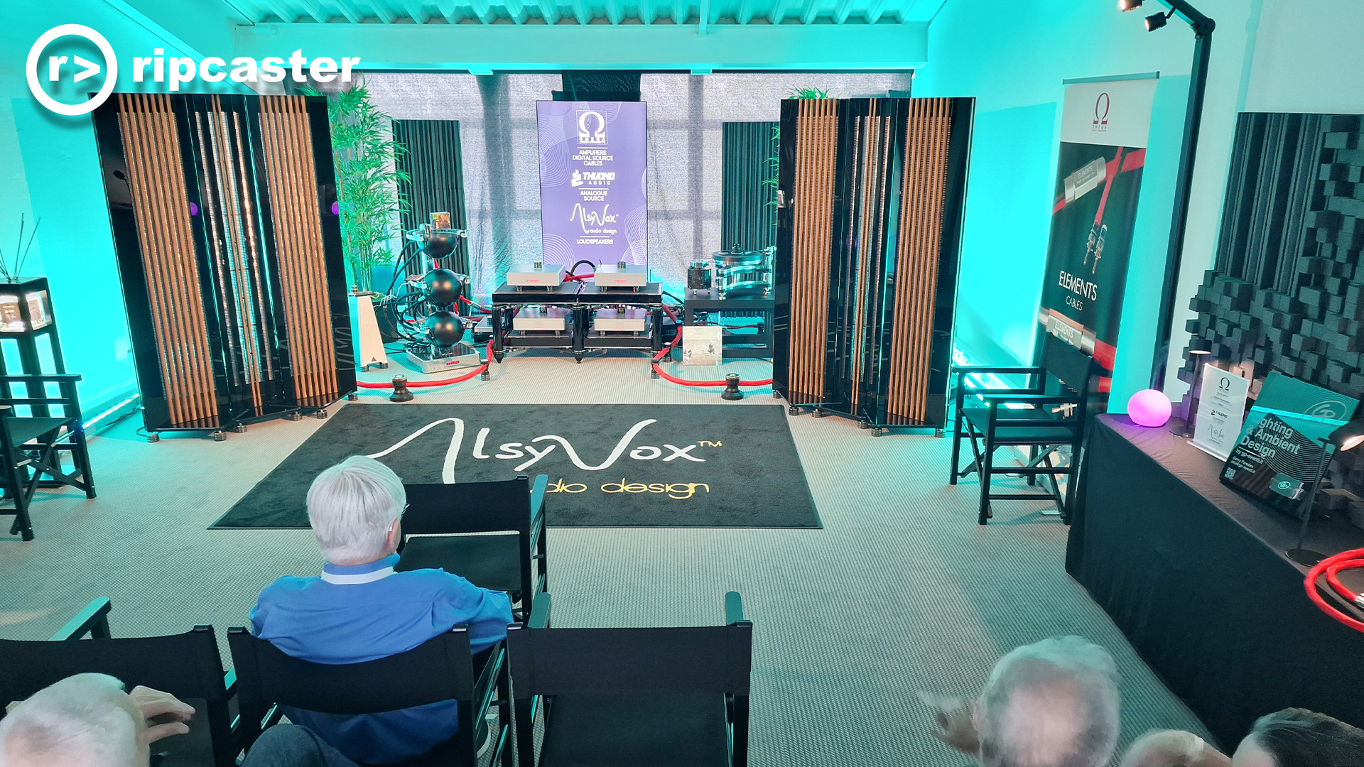 men seen from behind sitting in chairs in a HiFi demo room