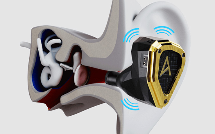 A cross-section of an ear, showing the Novus earbud in place