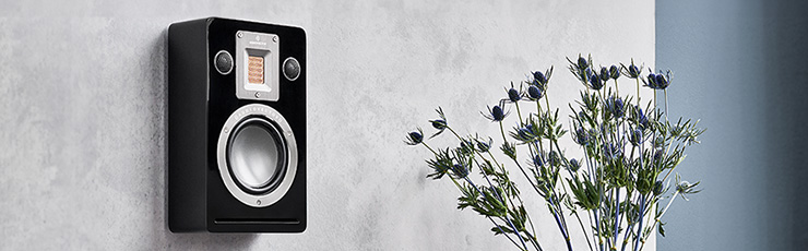 Audiovector QR Wall in black on a mottled grey wall with some spiky stems beside it