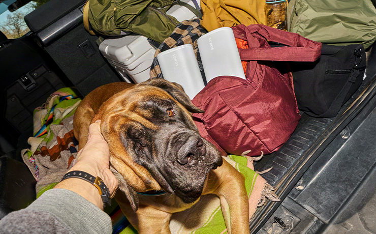 A pair of white Sonos Play speakers in a bag beside a large dog that's being petted