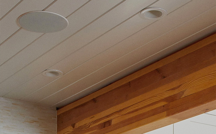 The circular speaker visible in the ceiling.  