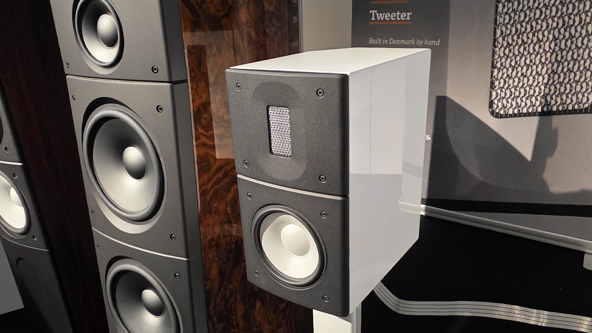 A pair of Raidho speakers