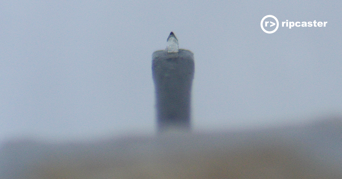 Linn Krystal under the microscope